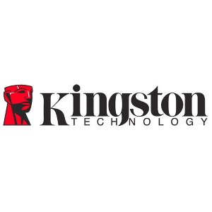 Kingston distribué par IPSolutions Solliès Pont Toulon Var 83